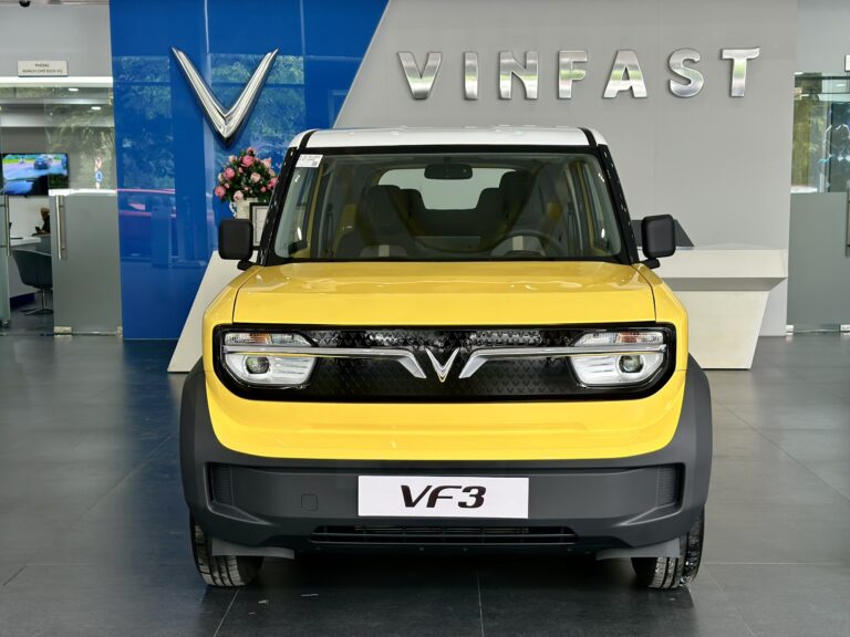 VinFast VF3 sau 10.000km