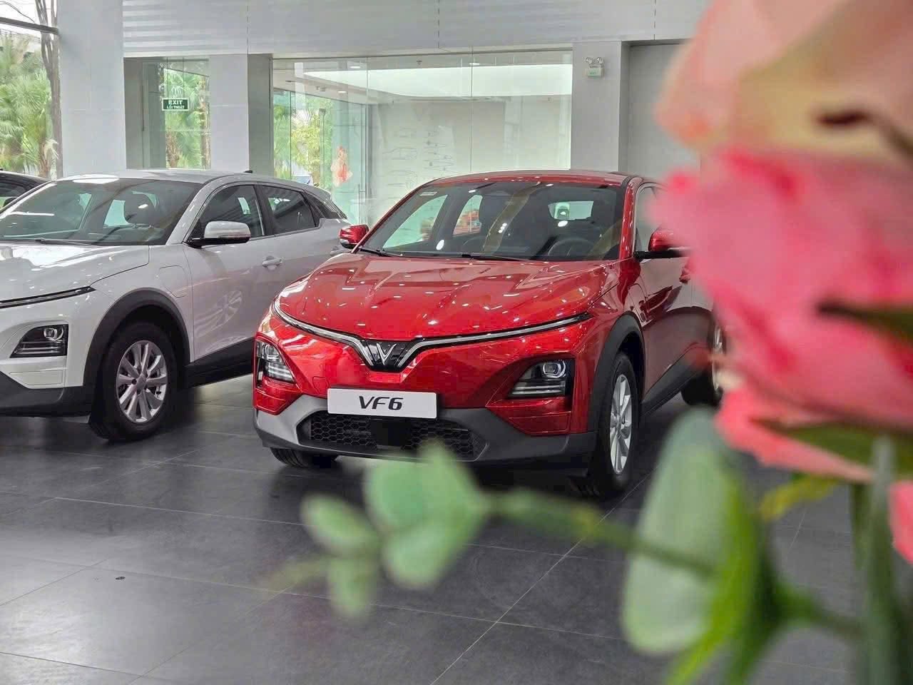 So sánh VinFast Vf6 Eco và VF6 Plus
